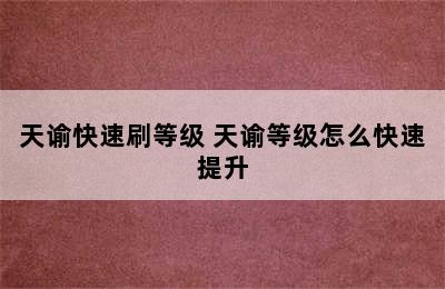 天谕快速刷等级 天谕等级怎么快速提升